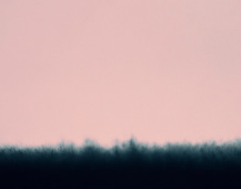 Exhibition-Marcus-Rex-Blurred-Singularities-Prints-Fotograf-247 