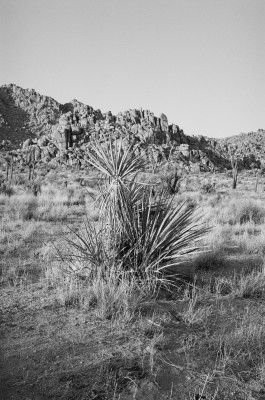 Fashion-Editorial-Jase-LA-Fotograf-Marcus-Rex-Portrait-07 